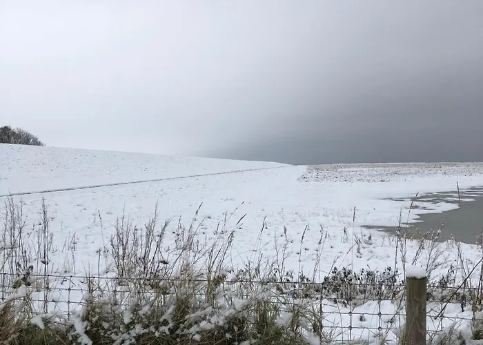 아파트 50 1 N Nordkoje *